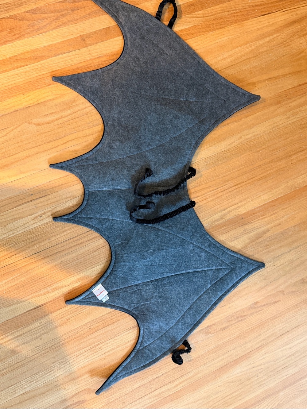 Hanna Andersson Bat Wing Costume